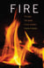 Fire - The Spark That Ignited Human Evolution