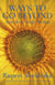 Ways to Go Beyond and Why They Work - Seven Spiritual Practices in a Scientific Age