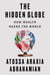 The Hidden Globe - How Wealth Hacks the World