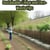 Sustainable Living and Zero-Waste Tips