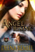 Angel Rising - The Brethren, #4