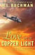 Love in a Copper Light - The Night Stalkers CSAR, #5