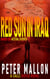 Red Sun in Iraq - Calli Doyle Series, #1