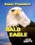 Bald Eagle - Super Predators