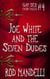 Joe White & The Seven Dudes - Gay Sex Fairy Tales, #4