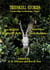 Treeskull Stories