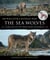 The Sea Wolves - Living Wild in the Great Bear Rainforest