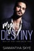My Destiny - Men of New York, #2