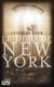 Le Dieu de New York - tome 1