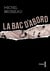 La Bac d'abord - Course-poursuite et bavure anti-jeune, sous couvert de la société sécuritaire...