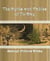 The Myths and Fables of To-Day