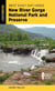 Best Easy Day Hikes New River Gorge National Park and Preserve
