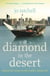 A DIAMOND IN THE DESERT - Behind the Scenes in the World's Richest City