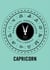 Capricorn - Personal Horoscopes 2013