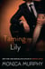 Taming Lily - A Novel