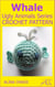 Whale Crochet Pattern