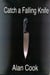 Catch a Falling Knife - Lillian Morgan, #2