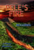 Pele's Fire - A MAUI MYSTERY, #3