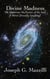 Divine Madness -- The Quantum Mechanics of the Soul