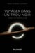 Voyager dans un trou noir - avec Interstellar