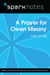 A Prayer for Owen Meany (SparkNotes Literature Guide)