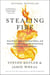 Stealing Fire - How Silicon Valley, the Navy SEALs, and Maverick Scientists Are Revolutionizing the Way We Live and Work