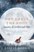 Fox Under the Moon - Seasons of Comfort and Hope
