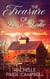 The Treasure of Loon Lake - The Shores of Loon Lake, #2