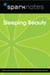 Sleeping Beauty (SparkNotes Film Guide)