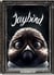 Jaybird