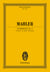 Symphony No. 5 C# minor