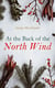 At the Back of the North Wind - Christmas Specials Series
