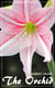 The Orchid (Robert Grant) - with the original illustrations - (Literary Thoughts Edition)