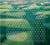 Fields - CD
