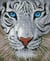 Kit Diamond painting - Diamond Dotz - Magie de la Jungle
