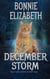 December Storm - The Frost Witch Saga, #3