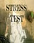 Stress Test