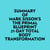 Summary of Mark Sisson's The Primal Blueprint 21Day Total Body Transformation