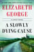 A Slowly Dying Cause - A Lynley Novel