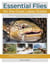 Essential Flies for the Great Lakes Region - Patterns, and Their Histories, for Trout, Steelhead, Salmon, Smallmouth, Muskie, and More