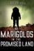 No Marigolds in the Promised Land - Beyond Amargosa, #0
