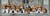 Puzzle 1000 pièces - Panorama Collection - Beagles