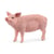Cochon