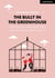 The Bully in the Greenhouse: Why children bully others and what schools can do about it