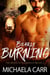 Bearly Burning - The Bears of Blackrock, #2