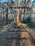 Earth  Creating Balance - Wicca Adventures, #4