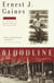 Bloodline - Five Stories