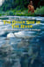 The Other Side Of The River