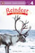 Reindeer - On the Move!