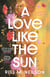 A Love Like the Sun - The tender and unforgettable romantic debut